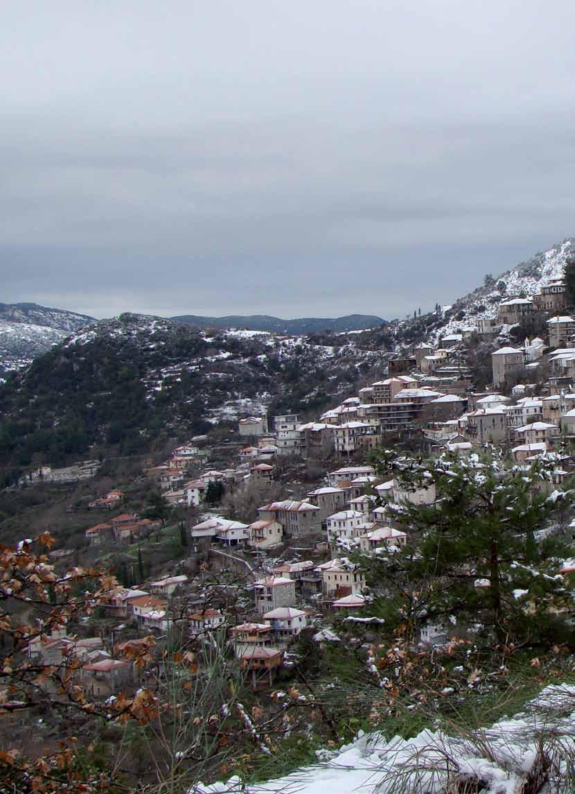 AΦΟΙ ΣΑΜΙΩΤΗ Ο.Ε.