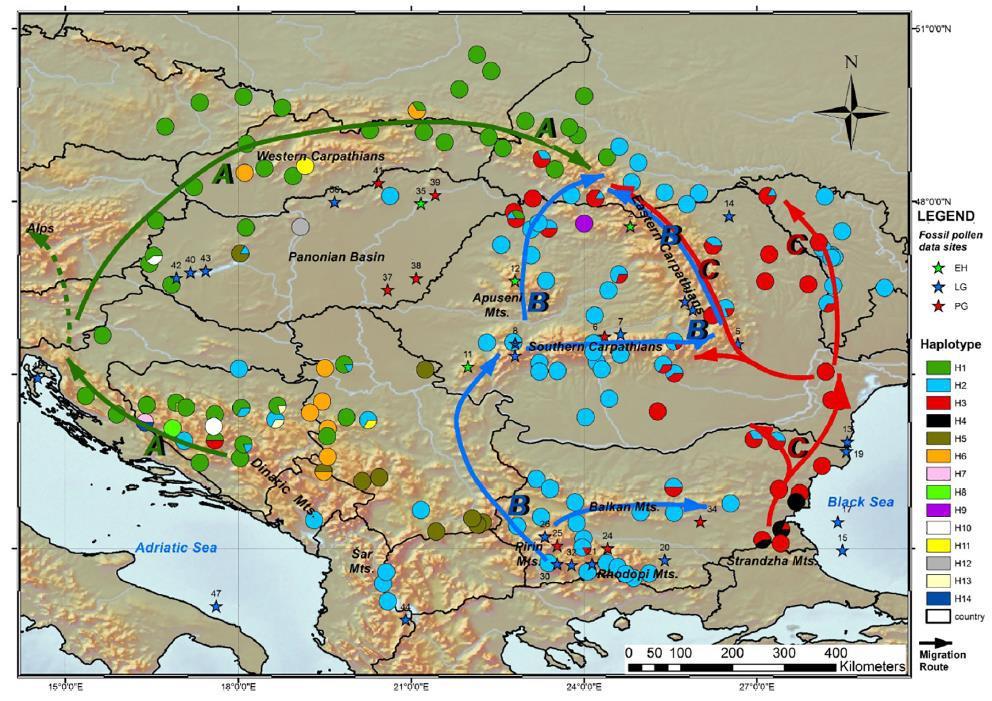Η Ροδόπη και η ευρύτερη περιοχή έχει λειτουργήσει επιπλέον ως καταφύγιο κατά τις παγετώδεις περιόδους (Magri et al. 2006, Magri 2008, Birks & Willis 2008, Hatziskakis et al.