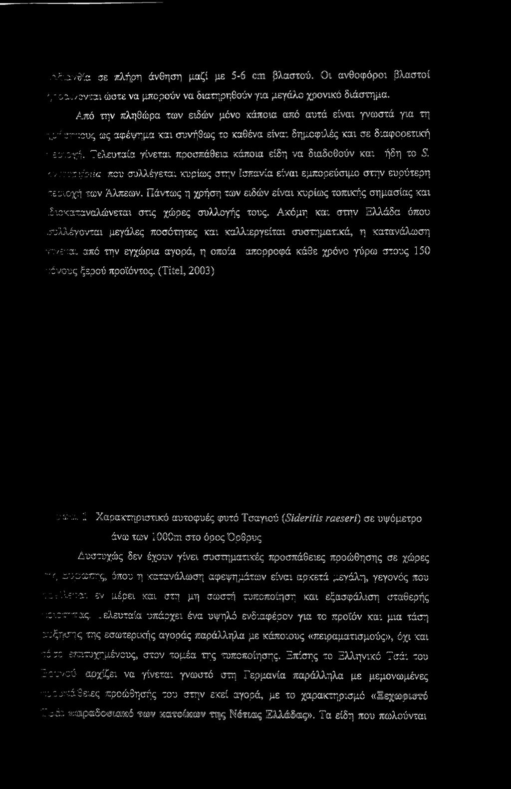 Ακόμη και στην Ελλάδα όπου συλλέγονται μεγάλες ποσότητες και καλλιεργείται συστηματικά, η κατανάλωση γίνεται από την εγχώρια αγορά, η οποία απορροφά κάθε χρόνο γύρω στους 150 :όνους ξερού προϊόντος.
