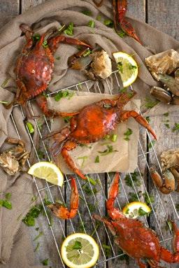 Thus, crabs arrive to our premises live and are immediately processed either fresh or whole frozen or chopped in the middle and cleaned or boiled whole, according to customer needs.