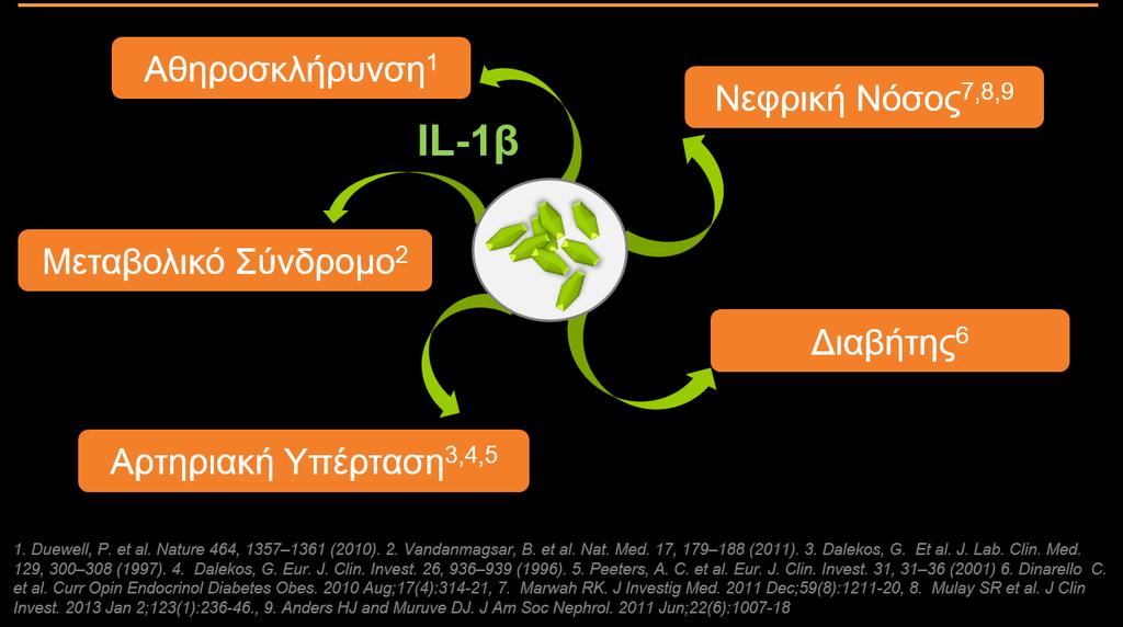 39 Proinflammatory activity (MCP-1, IL-1β, IL-6, TNF-α) Κοινή