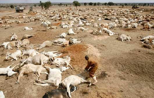 Αιθιοπία: έτη ξηρασιών 1968 1986 με σοβαρές ελλείψεις τροφίμων, αποψίλωση και εκατοντάδες χιλιάδες απώλειες ανθρώπινων ζωών.