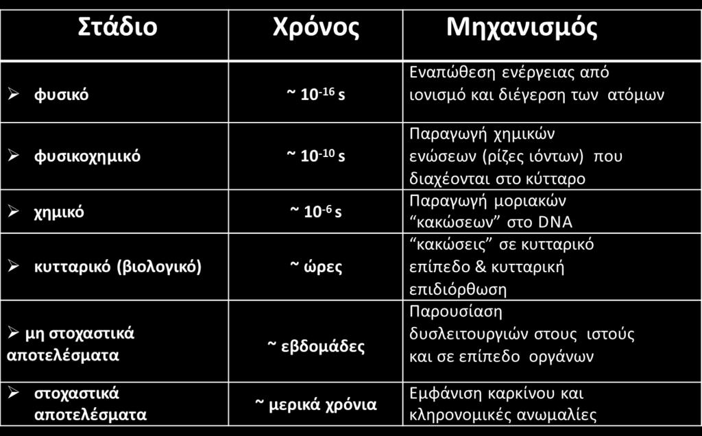 Αποτελέσματων