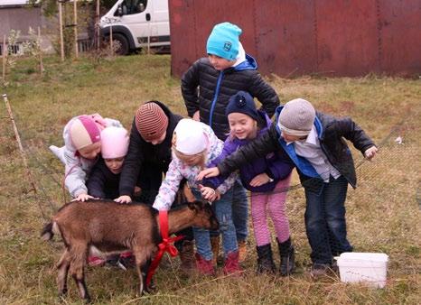 Siedmaci sa zahrali na vedcov a s pani učiteľkou Lánikovou v Chemickom laboratóriu dokazovali prítomnosť bielkovín v mlieku a zisťovali ako sa mení Rybka