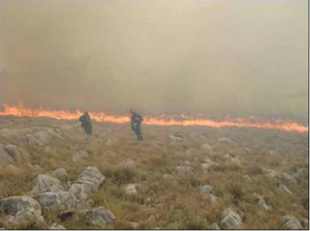 Τα παραπάνω συμπίπτουν με τη συνέντευξη του μοναδικού επιζώντα Frane Lusic, ο οποίος σε ένα μέρος ανέφερε «Η χλόη ήταν μέχρι το γόνατό μας.