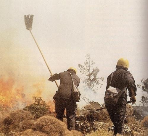 Εικόνα 1.2 Το Ειδικό Τμήμα Αντιμετώπισης Δασικών Πυρκαγιών κατά την δράση. (Πηγή : Χορτερούδης, 2016, σελ 21).