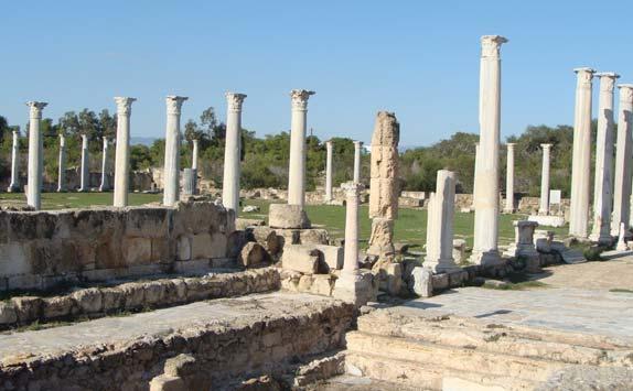 Είναι γνωστό σήμερα ότι η Σαλαμίνα διέθετε τρία γυμνάσια, με το στάδιο να βρίσκεται δίπλα από τα λουτρά, ενώ δίπλα βρισκόταν και η παλαίστρα, που καλυπτόταν περιμετρικά με κίονες.