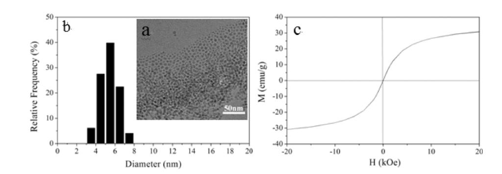 4 507 2. 5 5b 5a Fe 3 O 4 TEM 4 10 min Fe 3 O 4 7. 77 μm PDI 1. 03 Fe 3 O 4 5c 5.