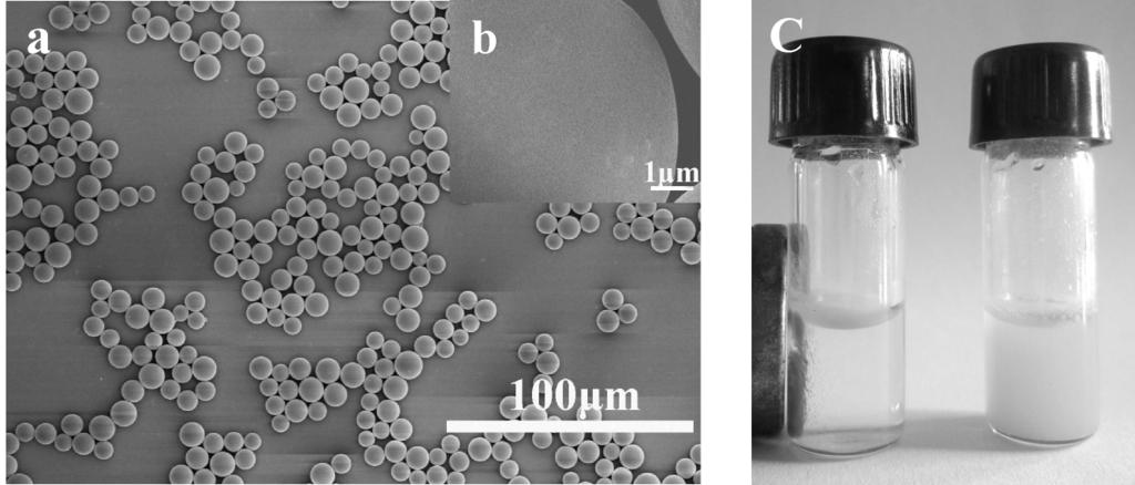 a. TEM photograph b. size distribution c. magnetization curve 3 5 a b. SEM c. Fig.