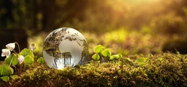 3. Πολιτικές για το Περιβάλλον την Ενέργεια και την Αειφόρο Ανάπτυξη Η Eurobank ανακοίνωσε την Περιβαλλοντική Πολιτική της το 2003, ως ένδειξη της δέσµευσής της για τη µείωση: των άµεσων επιπτώσεων