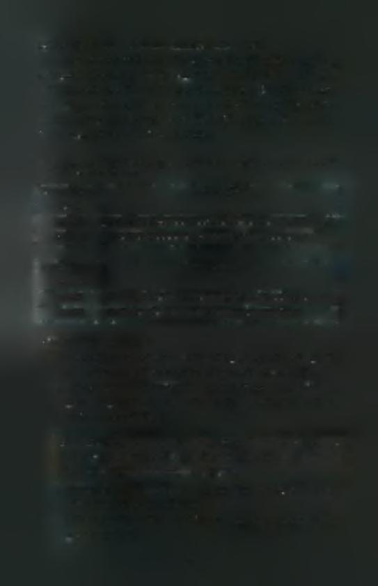 Ενίσγυση Τμημάτων mtdna από τα Γονίδια Cvt b & 12S rrna Για τον πολλαπλασιασμό του γονιδίου Cyt b ενισχύσαμε ένα τμήμα του, μεγέθους 376όρ,με την βοήθεια της τεχνικής PCR, και για το γονίδιο 12S rrna