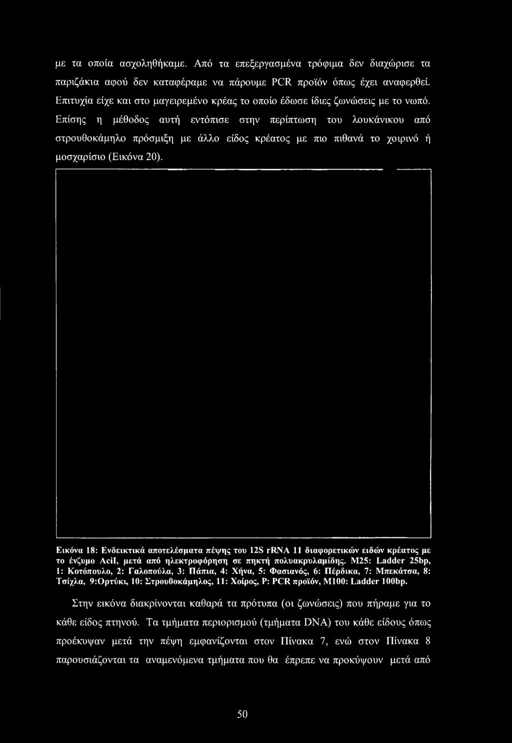 Μ25: Ladder 25bp, 1: Κοτόπουλο, 2: Γαλοπούλα, 3: Πάπια, 4: Χήνα, 5: Φασιανός, 6: Πέρδικα, 7: Μπεκάτσα, 8: Τσίχλα, 9:Ορτύκι, 10: Στρουθοκάμηλος, 11: Χοίρος, Ρ: PCR προϊόν,