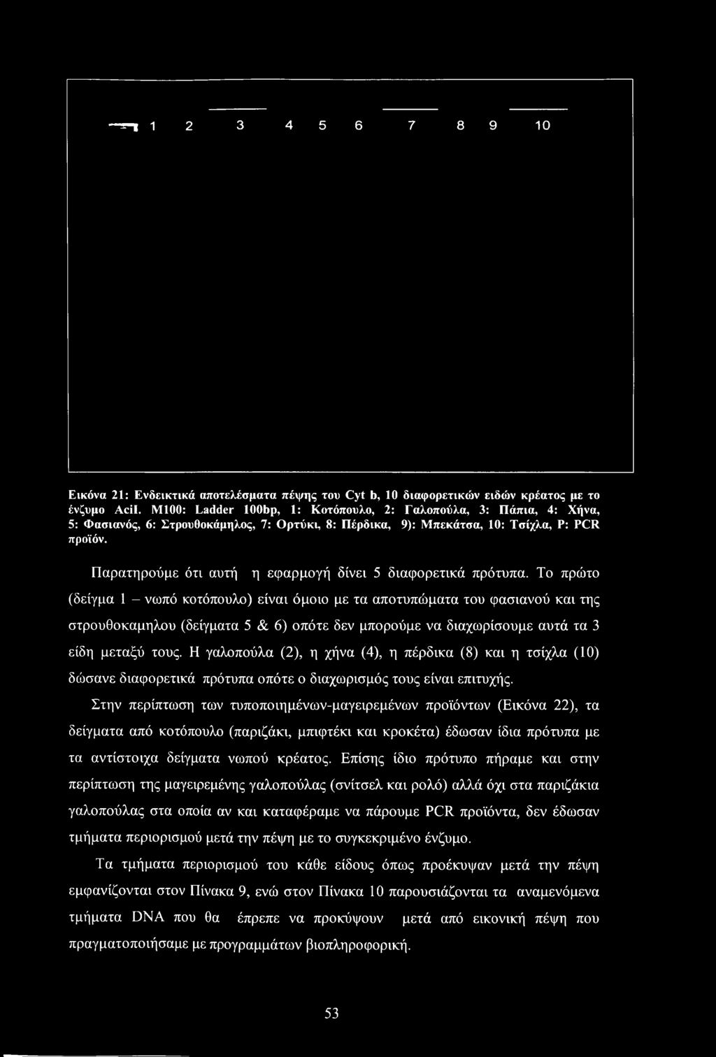 --T-7 12 3 456 7 89 10 Εικόνα 21: Ενδεικτικά αποτελέσματα πέψης του Cyt b, 10 διαφορετικών ειδών κρέατος με το ένζυμο Acil.