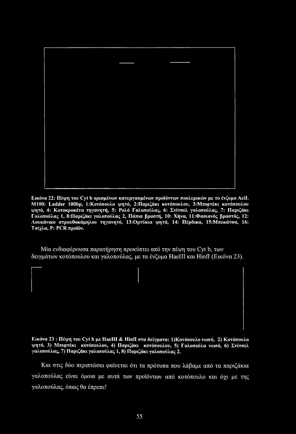 Εικόνα 23 : Πέψη του Cyt b με Haelll & Hinfl στα δείγματα: 1)Κοτόπουλο νωπό, 2) Κοτόπουλο ψητό, 3) Μπιφτέκι κοτόπουλου, 4) Παριζάκι κοτόπουλου, 5) Γαλοπούλα νωπό, 6)
