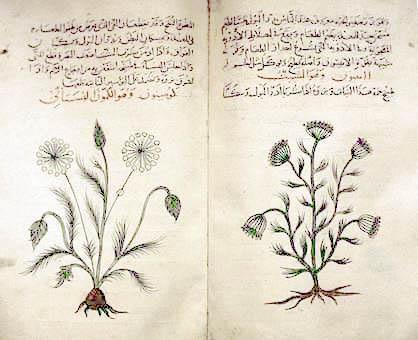 Η De materia medica, του Διοσκουρίδη, σε αντίγραφο του 1334 στα Αραβικά, δείχνει 1000 συνταγές για φάρμακα βασισμένες σε 600 φυτά.