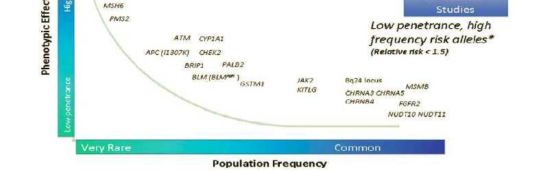 Weitzel et al.