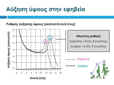 Ο μέγιστος ρυθμός αύξησης του βάρους παρατηρείται στην ηλικία των 12 ετών για τα κορίτσια, με αύξηση που ανέρχεται σε 7 κιλά ανά έτος, και στην ηλικία των 14 ετών για τα αγόρια, με αύξηση που