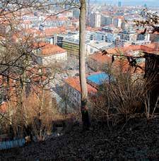 Poročilo o delu 20 Foto Dunja Wedam Začela so se sanacijska dela na Novem trgu. Ena od 1500 brezžičnih dostopovnih točk širokopasovnega omrežja, ki Ljubljano vodi v digitalno mesto.