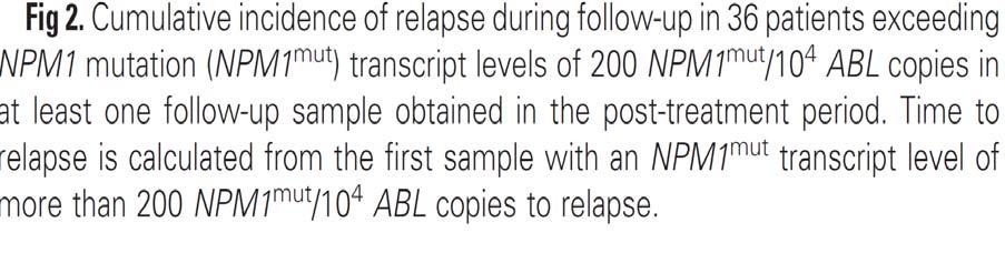 Adapted from: Monitoring of minimal residual disease in NPM1-mutated acute myeloid leukemia: a study from the German-