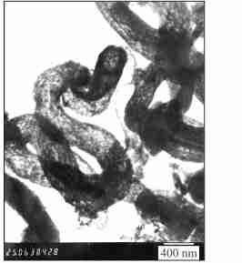 Graphical Abstract Vol 62, 2004 Synthesis of Hydrothermally Stable Mesoporous Aluminosilicates with Tubular Morphology from MFI Zeolitic Precursors and Sodium Silicates ZHENG, Jun2Lin ; ZHANG, Ye ;