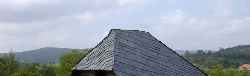 Argilošist blastopelitska