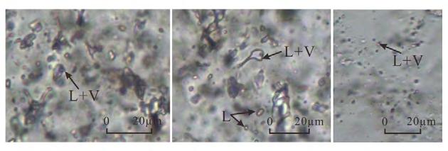 6 Micrographic photos of fluid inclusions from gold-bearing quartz vein under room temperature 6. 0 wt% NaCl ~ 13.