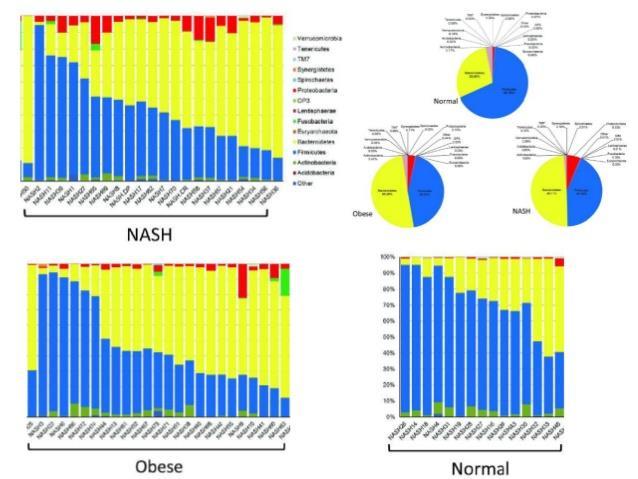 Μικροβίωμα και NAFLD NASH