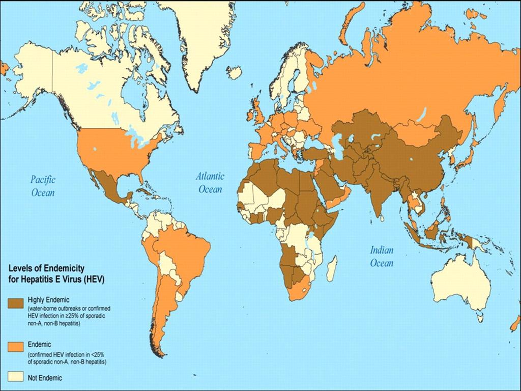 Worldwide distribution of hepatitis E virus in 2008. James M. Hughes et al.