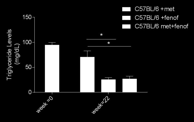 που οφείλεται στην ικανότητα της δεύτερης να μειώνει τα TGs. Συγκεκριμένα από 70,63 ± 12,3 mg/dl έφτασαν τα 25,73 ± 3,78 mg/dl (p 0,01).