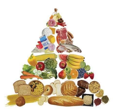 Έχει τεκμηριωθεί (Konokpa, 1996) ότι καταναλώνοντας καθημερινά 5 μικρομερίδες φρούτων και λαχανικών, λαμβάνεται μια σημαντική ποσότητα βιταμινών, ιχνοστοιχείων, φυτικών ινών αλλά και άλλων θρεπτικών