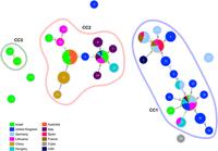 Double Locus Sequence Typing (DLST) ΣΥΝΔΥΑΣΜΟΣ MLVA+MLST Τυποποίηση μέσω αλληλούχισης Αναγνωρίζει άμεσα τις διαφορές σε αλληλουχίες DNA επαναλαμβανόμενων γενετικών τόπων (VNTR) που εντοπίζονται σε