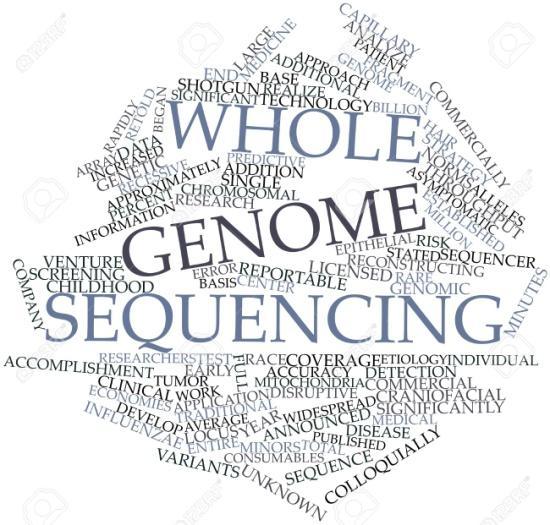 την ανίχνευση σημειακών μεταλλαγών σε ένα γονιδίωμα (SNPs) βελτιώνοντας έτσι τη πληροφορία (μέγεθος + ποιότητα) που λαμβάνεται σε εξελικτικές μελέτες