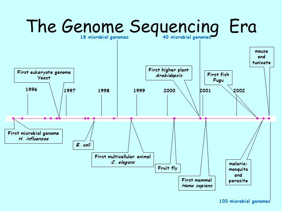 Whole Genome