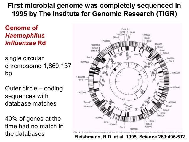 Whole Genome Sequencing (WGS) Το πρώτο βακτηριακό γονιδίωμα