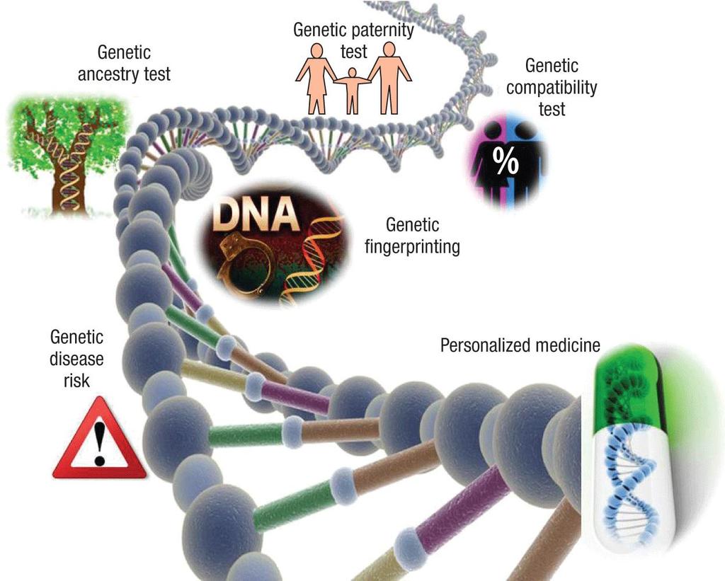 Whole Genome Sequencing (WGS) ΠΛΕΟΝΕΚΤΗΜΑΤΑ Η μελέτη μιας ασθένειας δεν βασίζεται πια μόνο στην ανίχνευση του μεταλλαγμένου γονιδίου που προκαλεί την ασθένεια, αλλά και σε άλλα γονίδια του ασθενή.