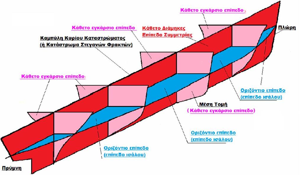 Διάμηκες επίπεδο συμμετρίας είναι το κάθετο διάμηκες (κατεύθυνση ΠΡΥΜΑ ΠΡΩΡΑ) επίπεδο το