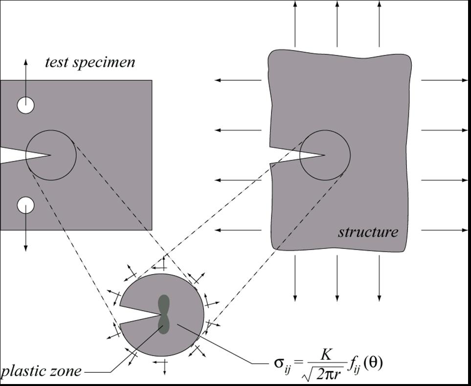 Singularity dominated zone : Admit the existence of a