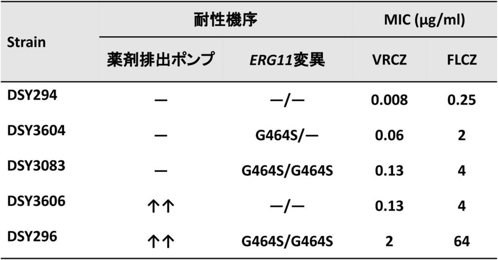 266 52 THE JAPANESE JOURNAL OF ANTIBIOTICS 67 4 Aug. 2014 2. Candida glabrata 2001 2004 2006 2010 MIC 64 μg/ml C. glabrata 98.