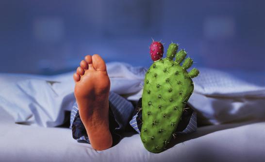 Simptomatska Hiperurikemija 1* SI-ADE-01-2018_v01_ad Protin je sistemska bolezen 2 *Zdravljenje kronične hiperurikemije v primerih, ko je že prišlo do odlaganja kristalov urata (vključno s primeri,