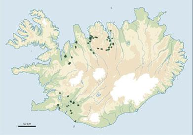 Af tilhlökkun ég er á flugi, en ráðskonum síst má safna svo ég þarf að velja og hafna.