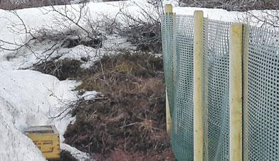 kálfa og kiðlinga -Mjög hátt hlutfall af vítamínum og seleni
