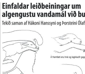 Bændablaðið Fimmtudagur 28.