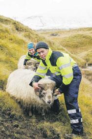 Staðsett í sveit: Skaftárhreppi í Vestur-Skaftafellssýslu. Ábúendur: Rannveig Ólafsdóttir og Guðmundur F. Markússon ásamt foreldrum Rannveigar, þeim Ólafi Oddssyni og Guðríði Jónsdóttur.