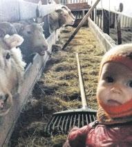 000 hektarar, óskipt með Mörtungu 1. Gerð bús? Sauðfjárbú. Fjöldi búfjár og tegundir? Um 350 ær, 3 smalahestar auk nokkurra mera, folalda og tryppa, 2 smalahundar, 6 pútur og einn hani.