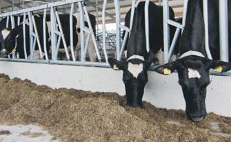 heildarþyngd 750 kg - með LED ljósum