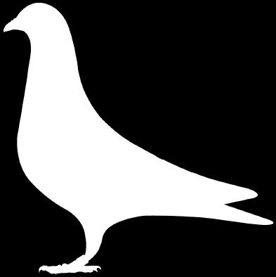 SMERNICA oblastnej výstavy poštových holubov OZ CHPH Topoľčany 2017 a SMERNICA Otvorenej celoslovenskej výstavy poštových holubov 2017