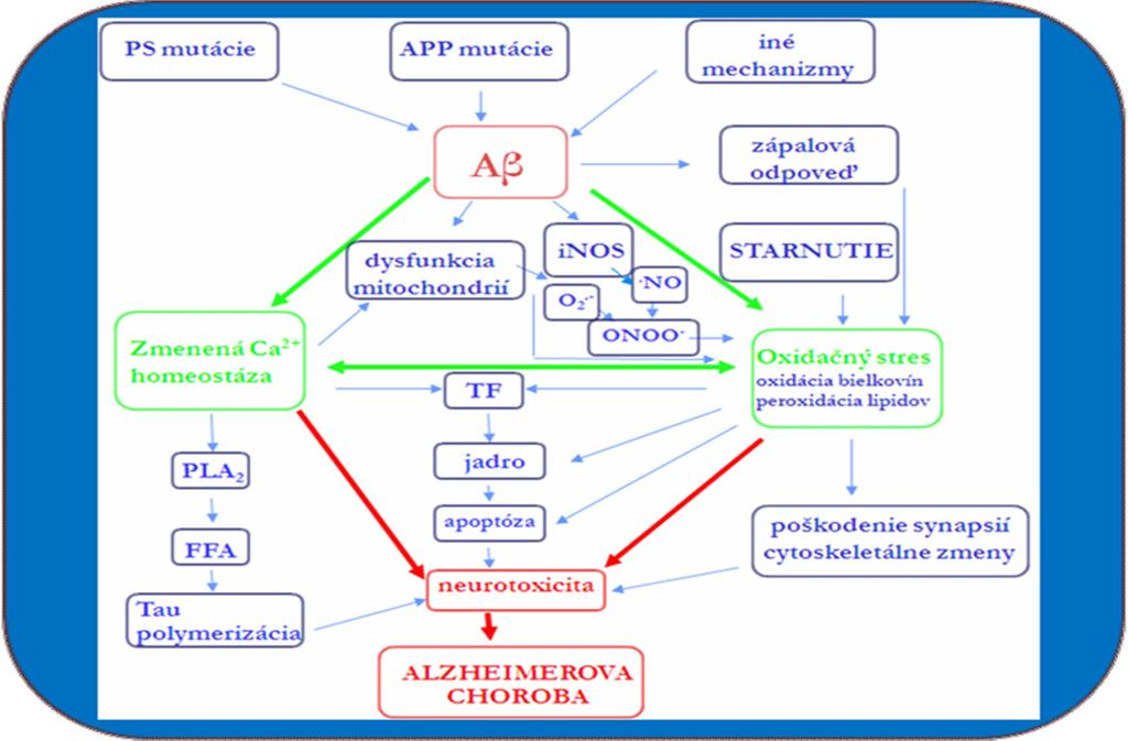 Alzheimerova choroba AGE oxidačné poškodenie poškodenie synáps