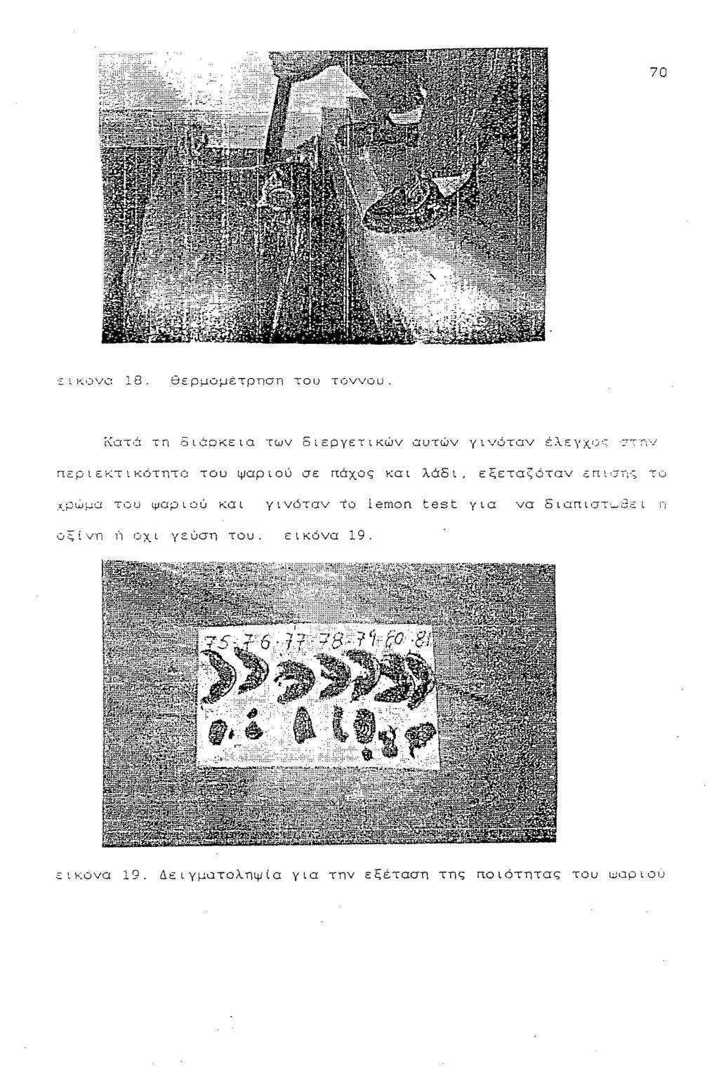 εικόνα 18. θ ε ρ μ ο μέτρηση του τόννου.