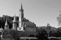 U takvom slučaju trebalo bi se držati općih propisa svetišta, također propisa pojedinih ustanova posvećenoga života i propisa o odnosu između mjesnog ordinarija i ustanova posvećenoga života, kao