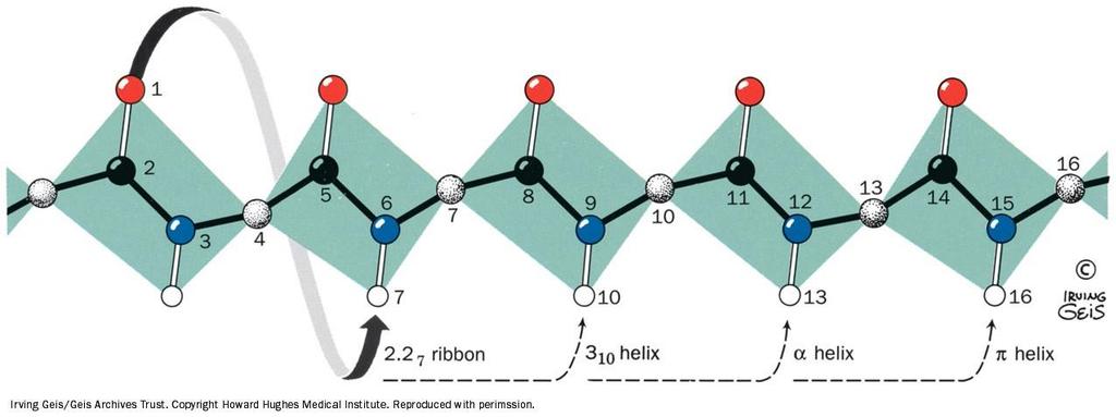 H-vezi pri heliksih različne vrste.